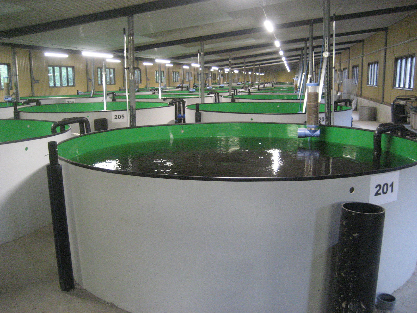category image